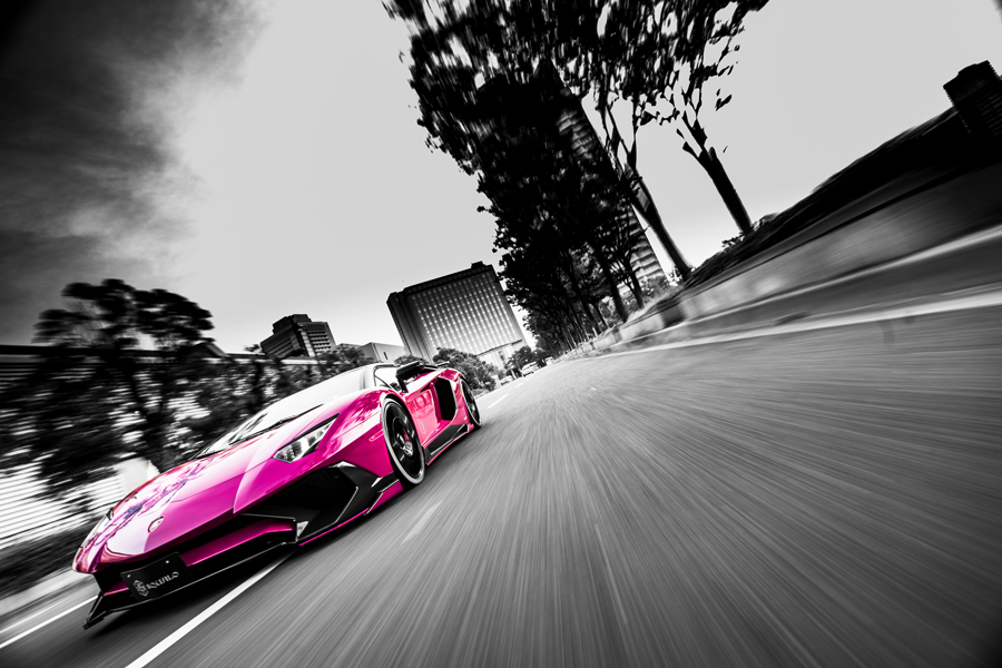 SQALO_AVENTADOR-SV
